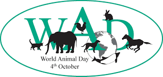 World Animal Day !