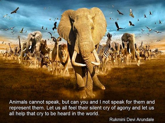 world-animal-day-2016-best-motivational-quotes-and-images-2