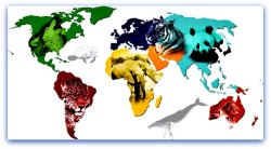 world-animal-map